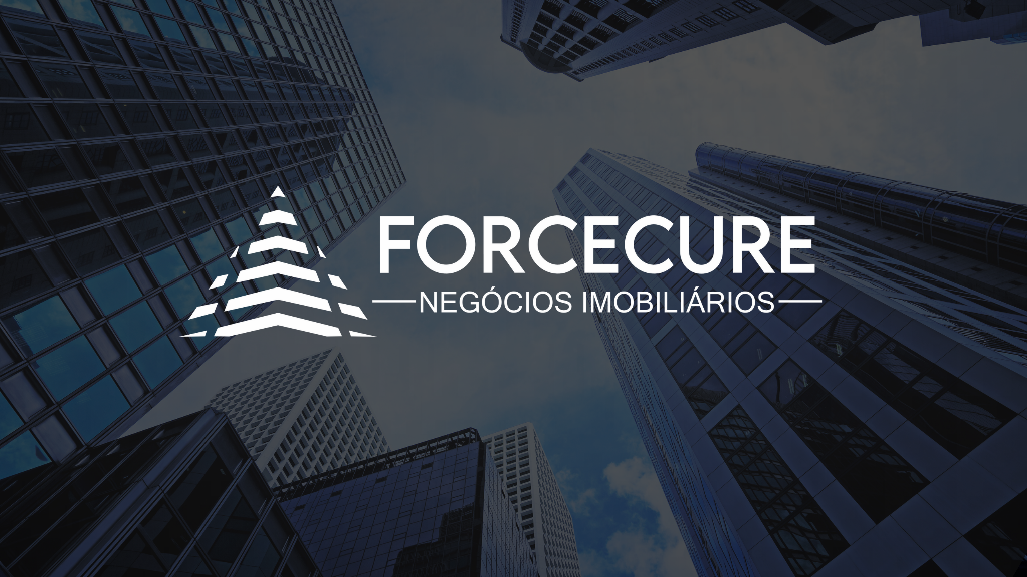 Franquia Forcecure